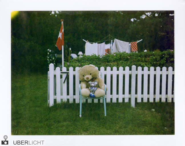 Teddybaer im Garten Polaroid 600 SE Typ 100