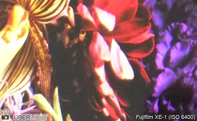 Fujifilm X-E1 Test-Foto bei ISO 6400